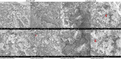 Effective mechanisms of water purification for nitrogen-modified attapulgite, volcanic rock, and combined exogenous microorganisms